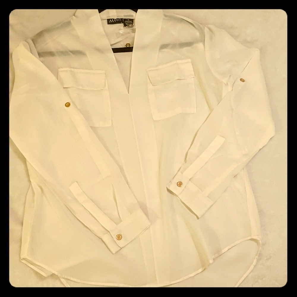 NWT Alloy long sleeve sheer white blouse